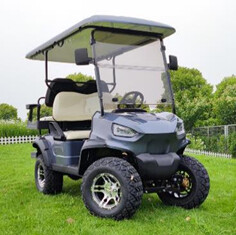 Electric Golf Cart JY-2020ASZ