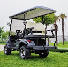 Electric Golf Cart JY-2020ASZ