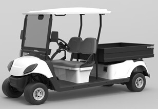 Electric Golf Cart JY-2040KHCX