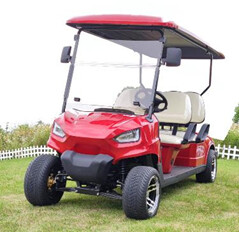 Electric Golf Cart JY-2040K
