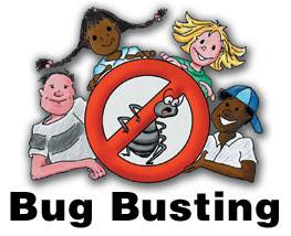 Bug Buster Kit