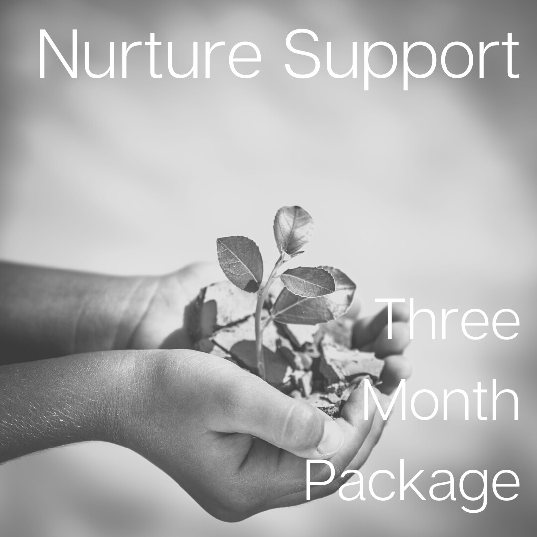 Three Month Nurture Support Package UPGRADE