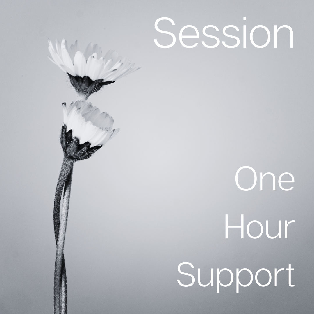 One Hour Support Session