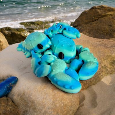Meet Larry! Our salty, playful O’Lobsta’!