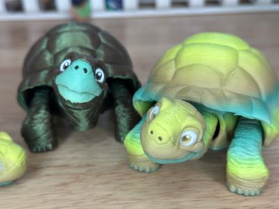 Meet Tori! Our happy, free-spirited 3D Printed Tortoise. Articulated