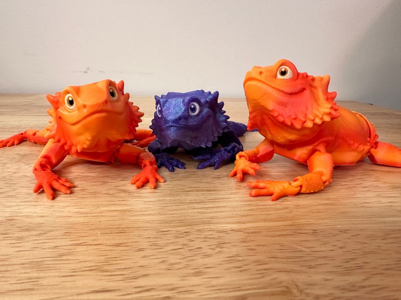Meet Bernie! Our friendly, 3D Printed Articulated Bearded Dragon.