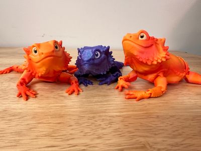 Meet Bernie! Our friendly, 3D Printed Articulated Bearded Dragon.