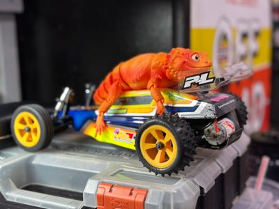 Meet Bernie! Our friendly, 3D Printed Articulated Bearded Dragon.