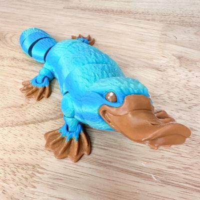 Meet Pleri! Our happy, playful, 3D Printed Platypus!