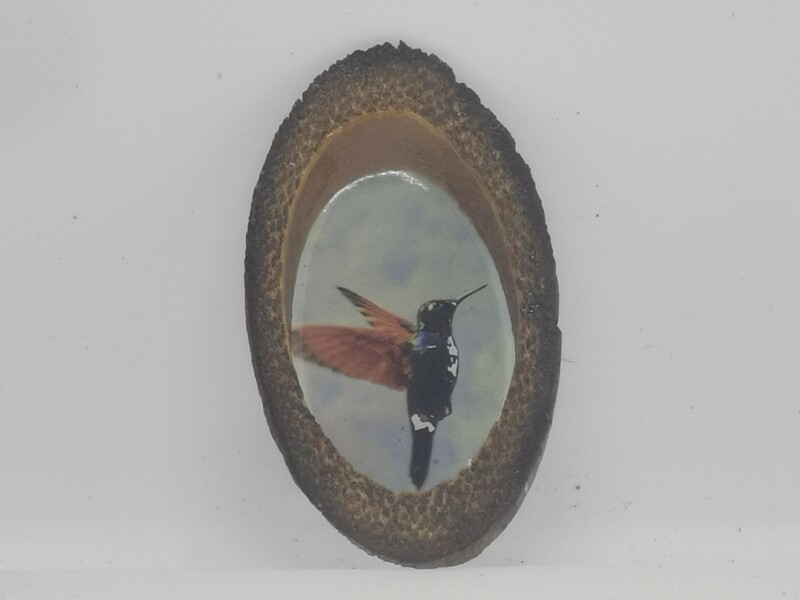 Colibri