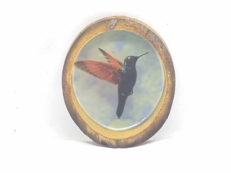 Colibri