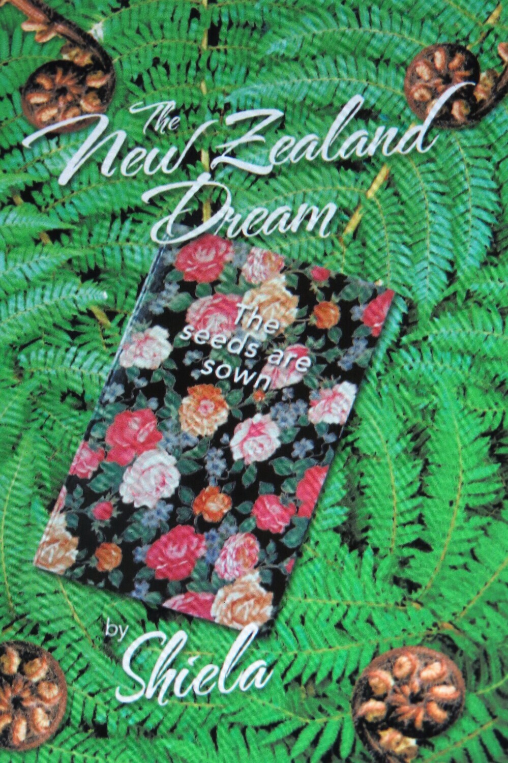 The NZ Dream, The seeds are sown