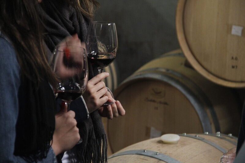 RUTA DEL VINO, Valle de Uco, Mendoza
