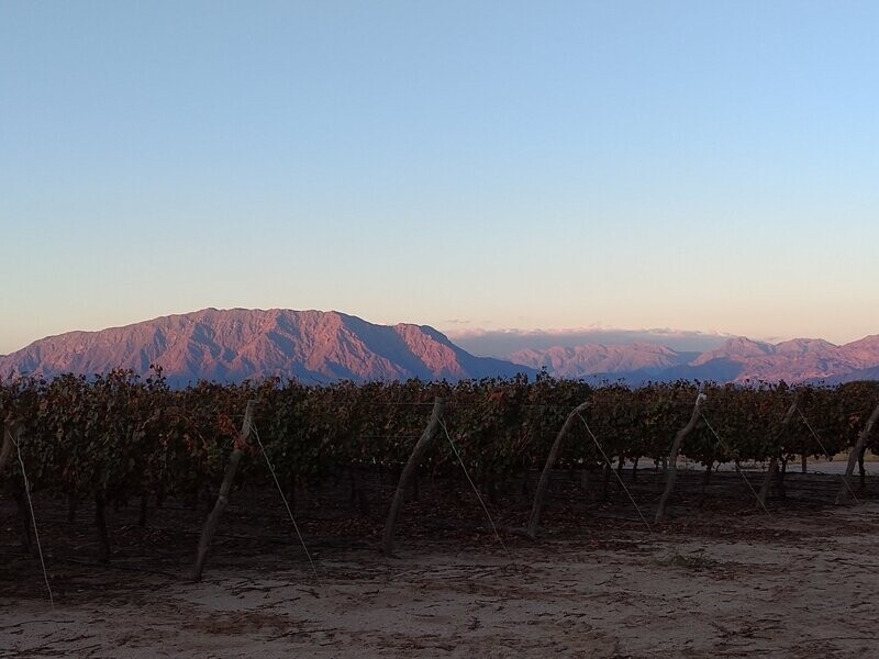 CAFAYATE, ESE LUGAR (Salta)