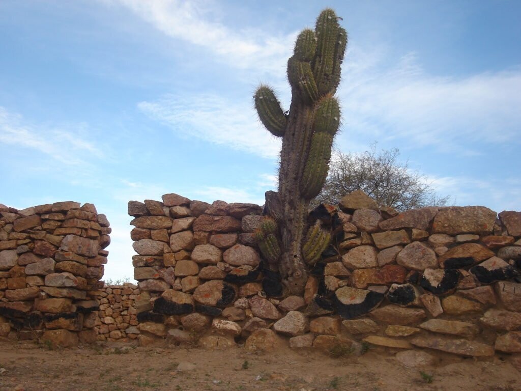 SHINKAL DE QUIMIVIL, Catamarca