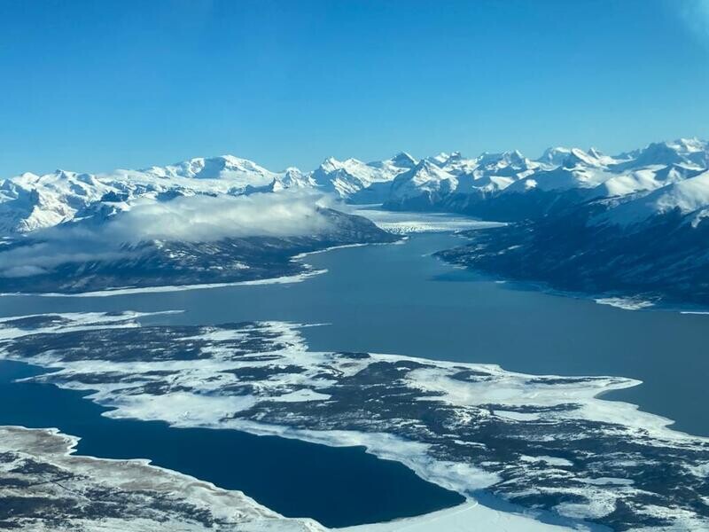 CALAFATE INVIERNO