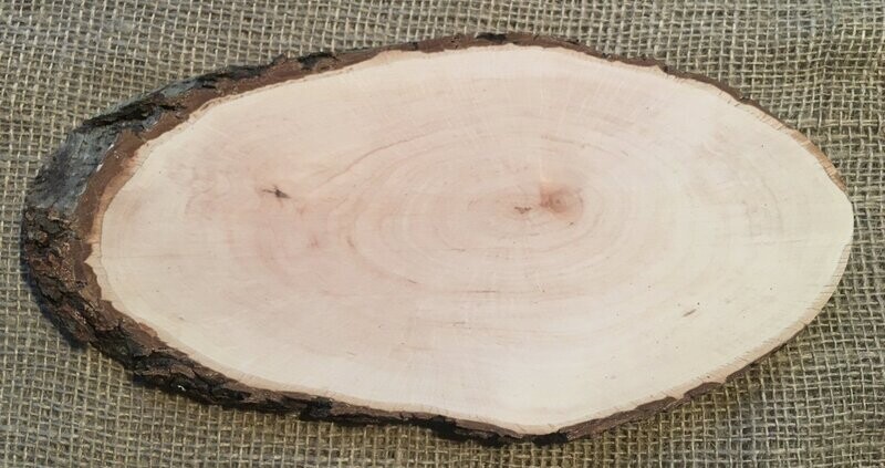 Rindenbrett Erle, oval, ca. 28cm lang und ca. 14cm breit, ca. 1,5cm dick