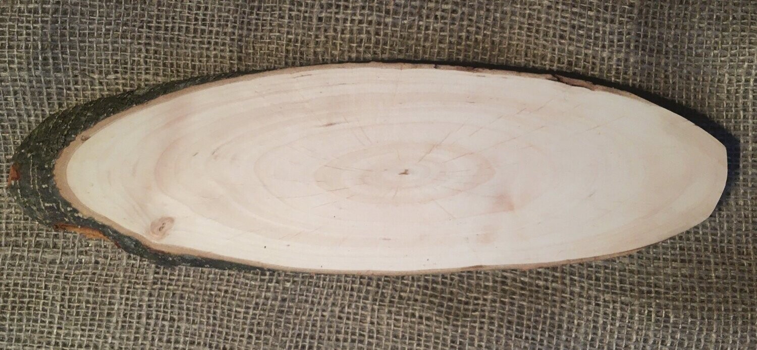 Rindenbrett Erle, oval, ca. 30cm lang und ca. 10cm breit, ca. 2m dick