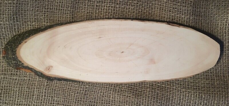 Rindenbrett Erle, oval, ca. 30cm lang und ca. 10cm breit, ca. 2m dick