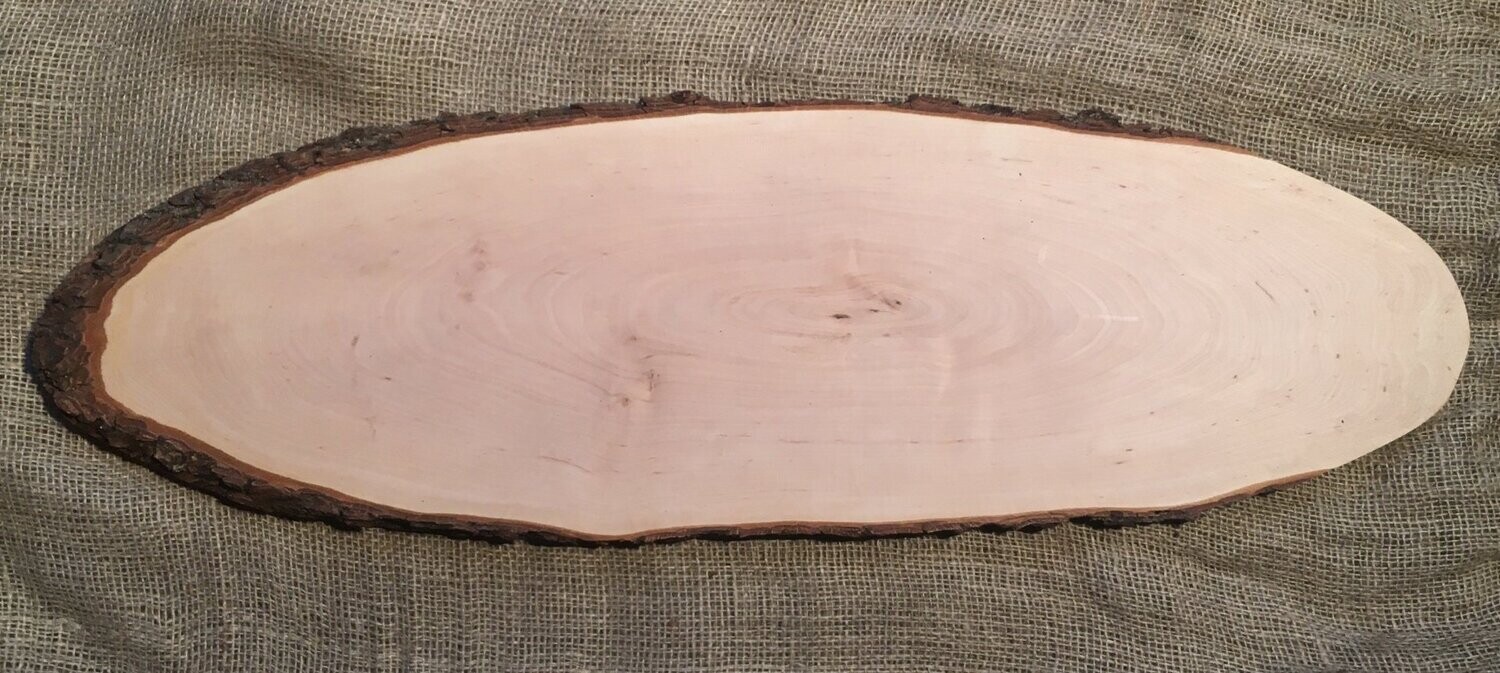 Rindenbrett Erle, oval, ca. 80cm lang und ca. 23cm breit, ca. 2,5cm dick