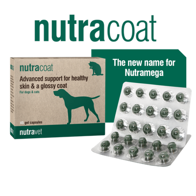 Nutracoat Capsules