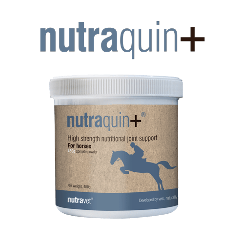 Nutraquin+ for horses and ponies