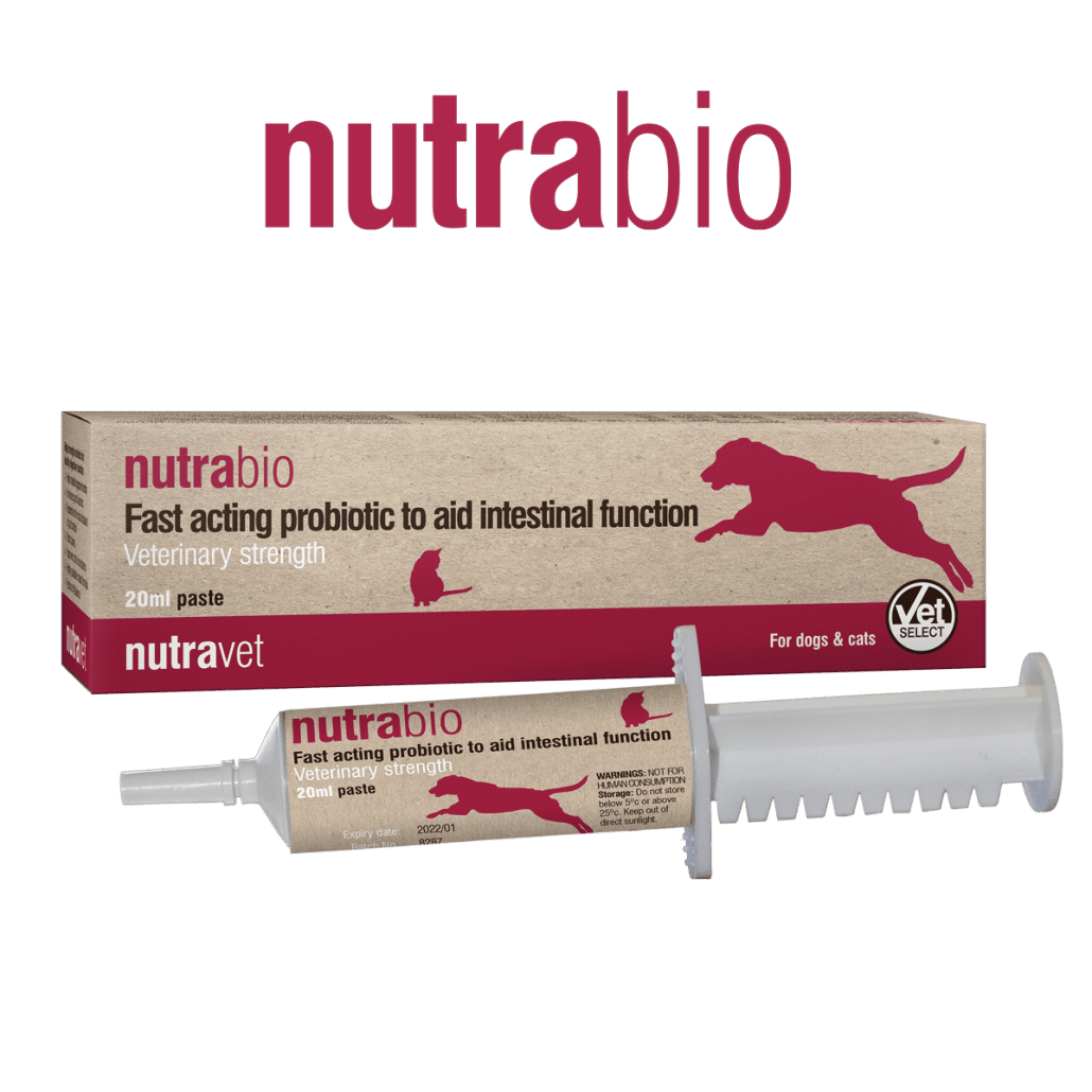 Nutrabio Paste 20ml