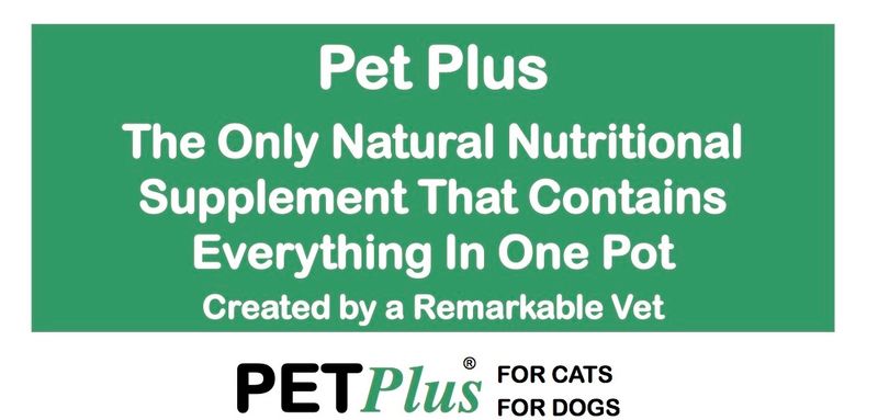 Pet Plus for Dogs & Cats 100/400gm