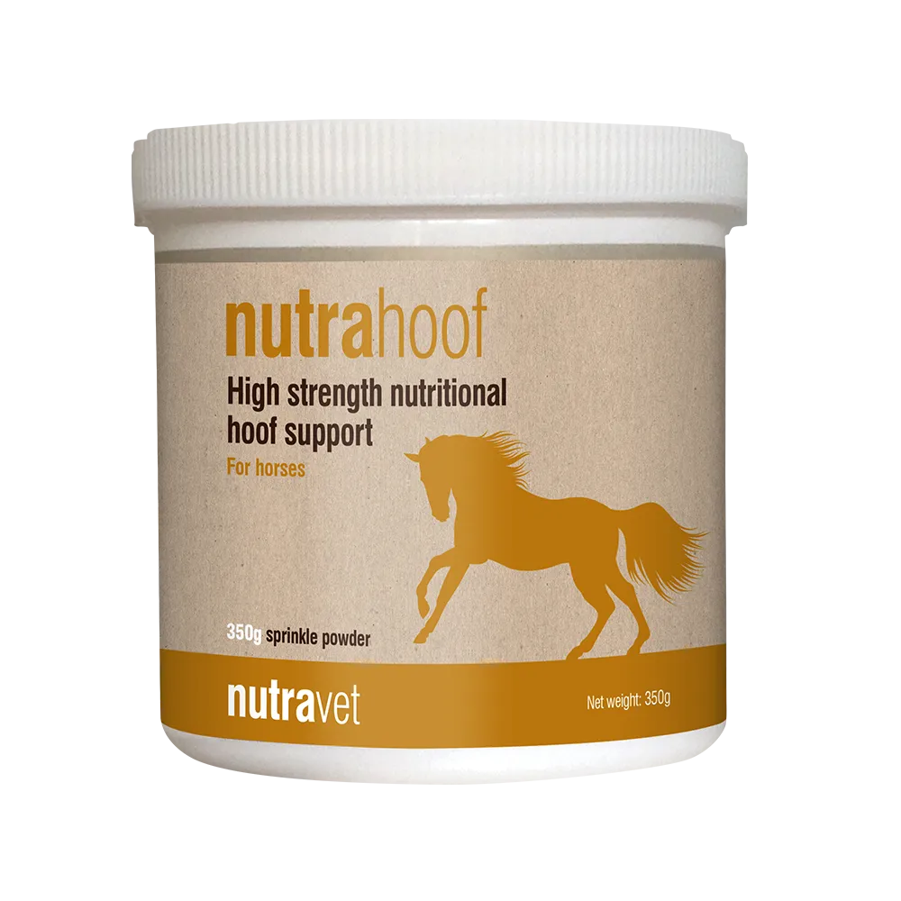 Nutrahoof for Horses