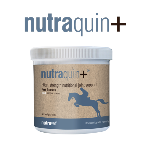 Nutraquin+ for Horses