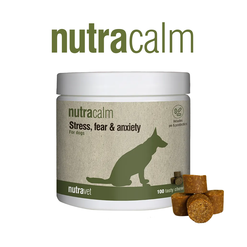 Nutracalm chews