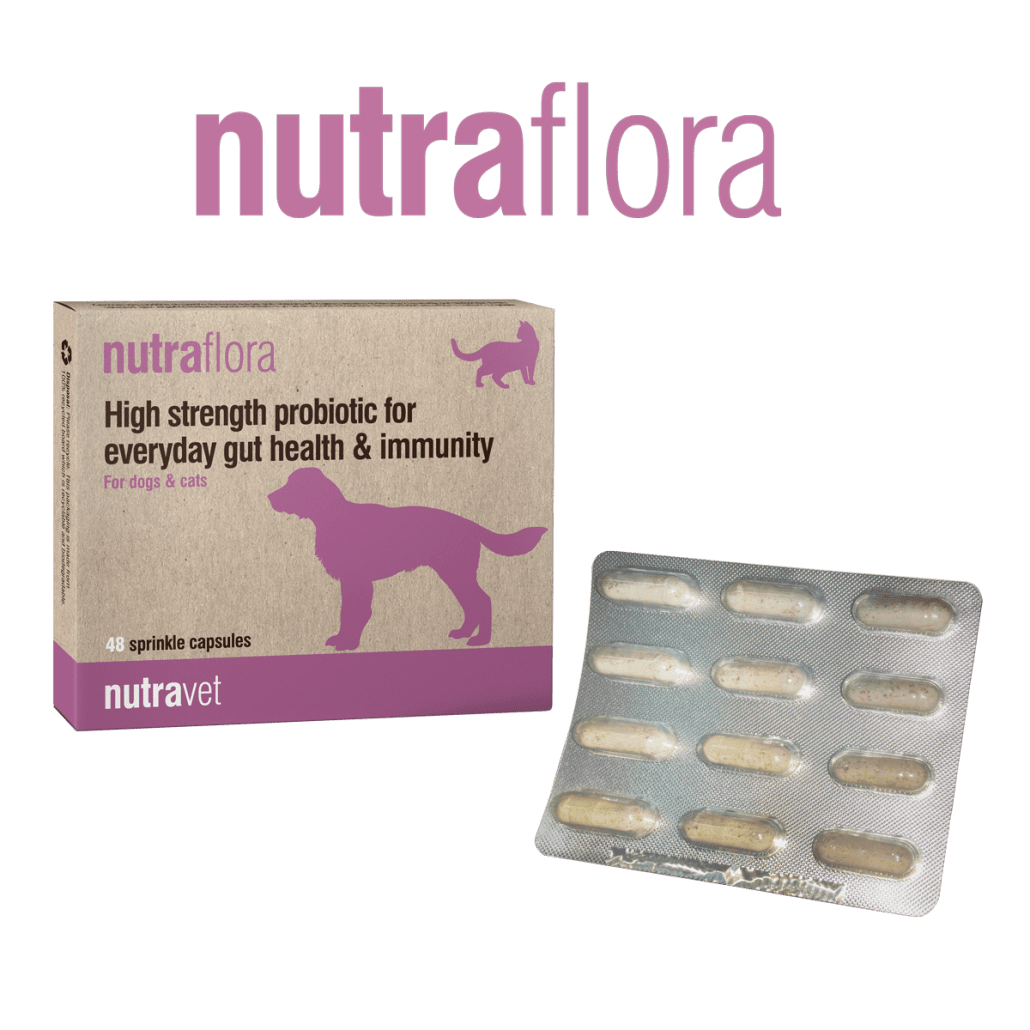 Nutraflora capsules