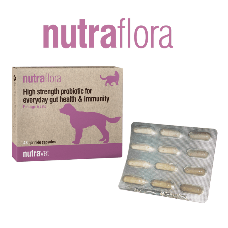 Nutraflora capsules