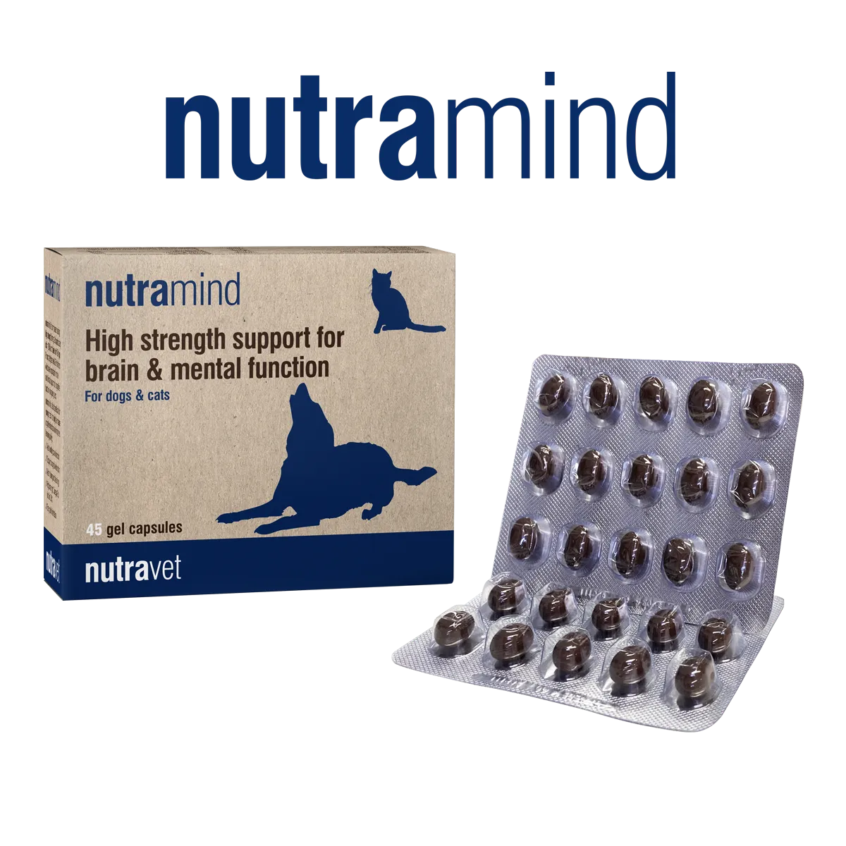 Nutramind capsules