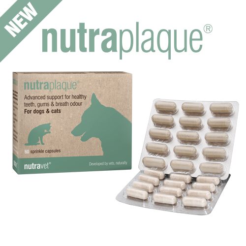 Nutraplaque capsules