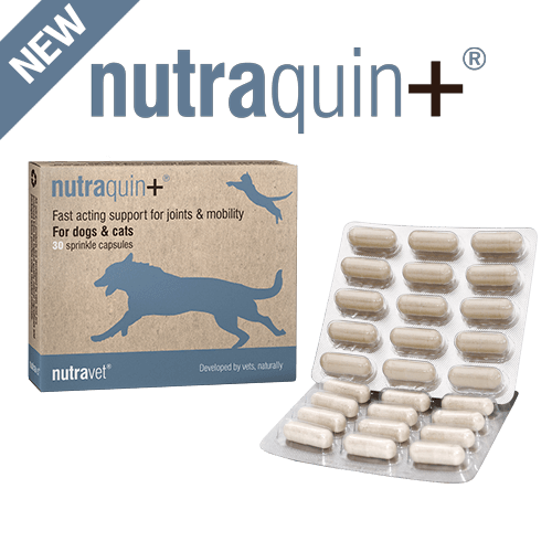 Nutraquin + Capsules