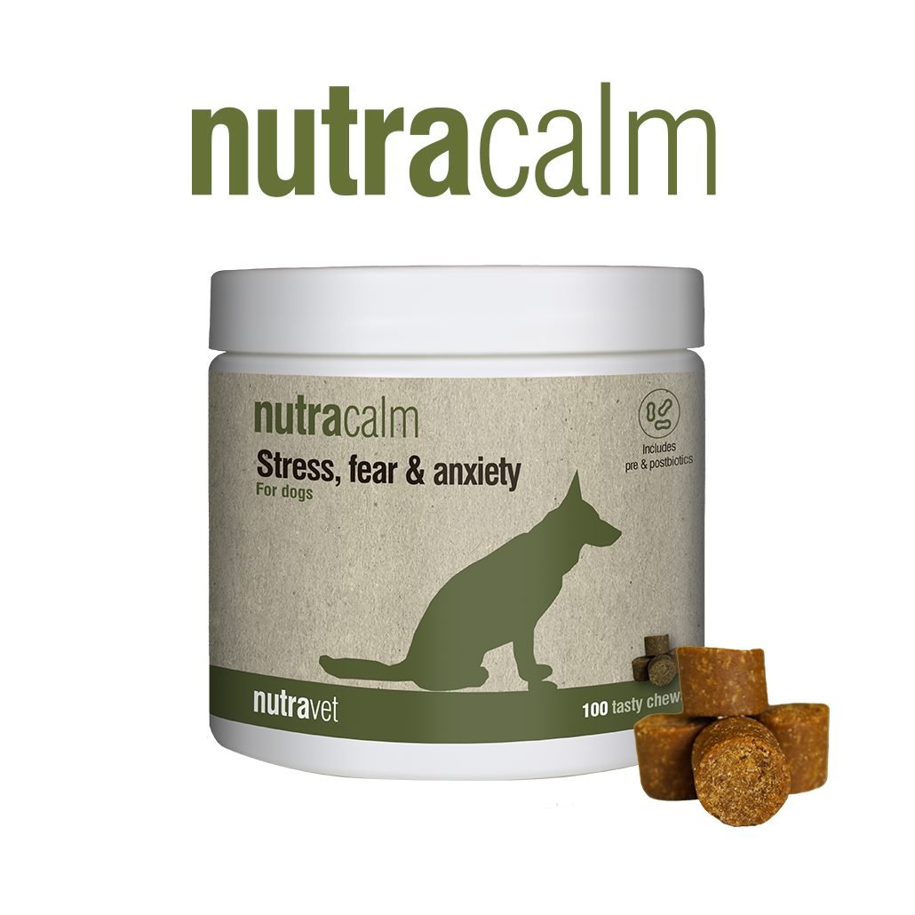 Nutracalm chews