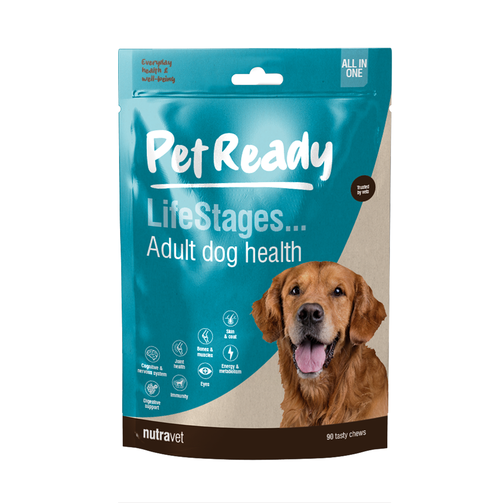 Pet Ready Adult Dog Health Pet Ready Adult Dog Health