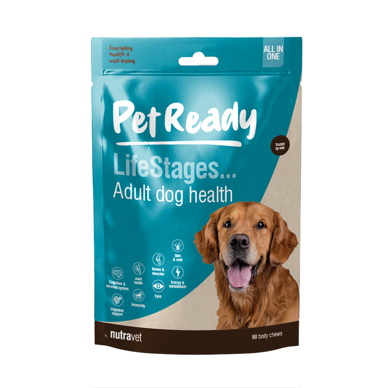 Pet Ready Adult Dog Health Pet Ready Adult Dog Health