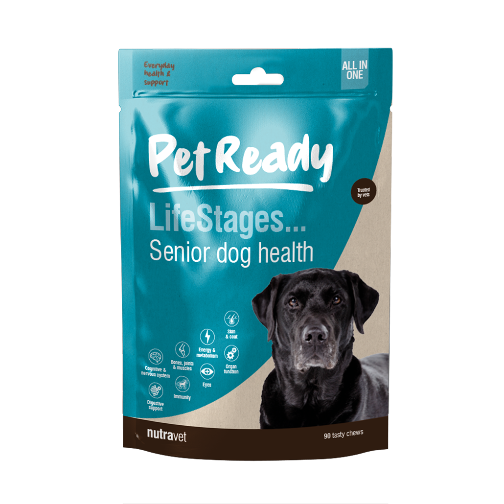 Pet Ready Senior Dog Health Chews