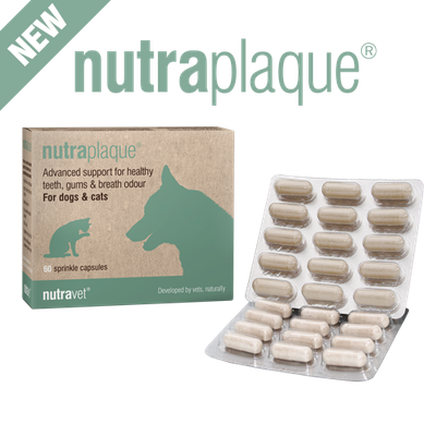 Nutraplaque capsules 15 Capsules Nutraplaque capsules 15 Capsules