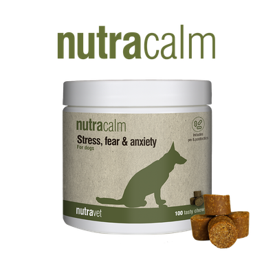 Nutracalm chews Nutracalm chews