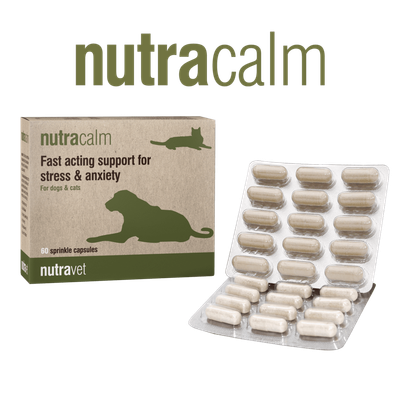 Nutracalm capsules Nutracalm capsules