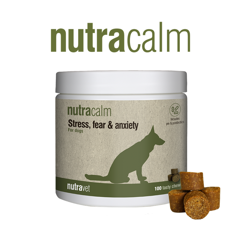 Nutracalm chews