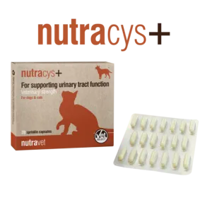 Nutracys+ Capsules