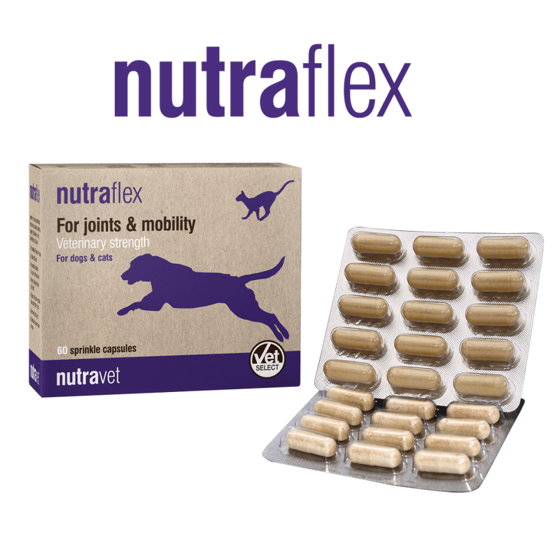 Nutraflex capsules