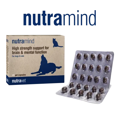 Nutramind capsules Nutramind capsules