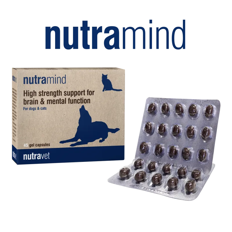 Nutramind capsules