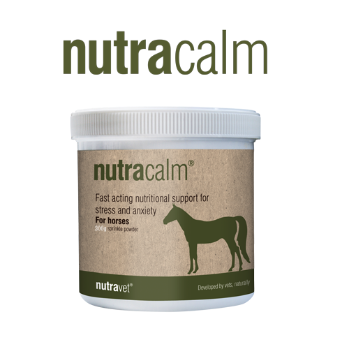 Nutracalm for Horses
