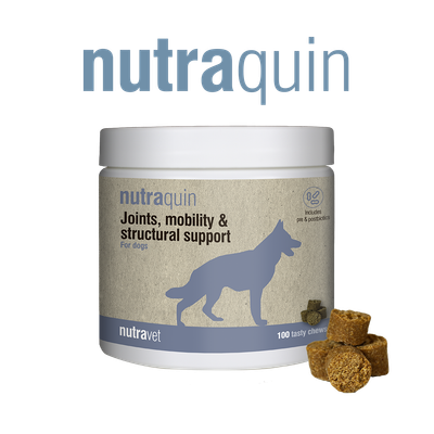 Nutraquin Chews Nutraquin Chews